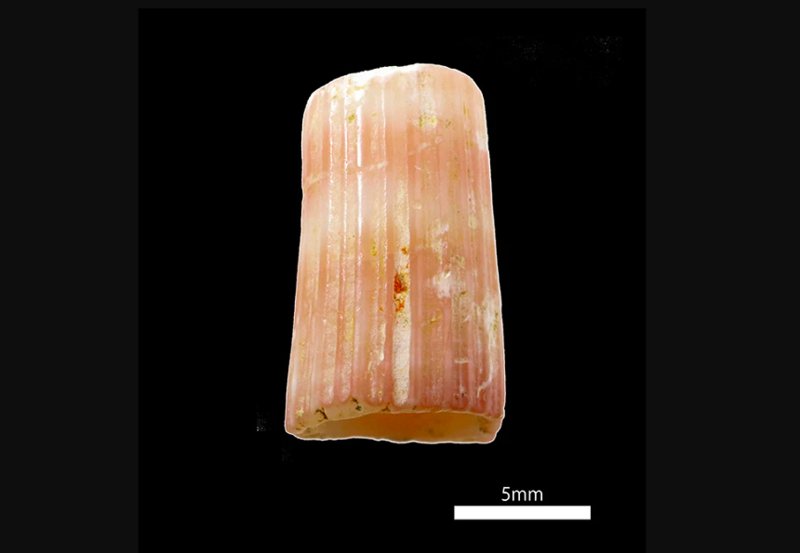 The Oldest Known Piece Of Artificially Colored Jewelry Is Now On Display - DSF Antique Jewelry
