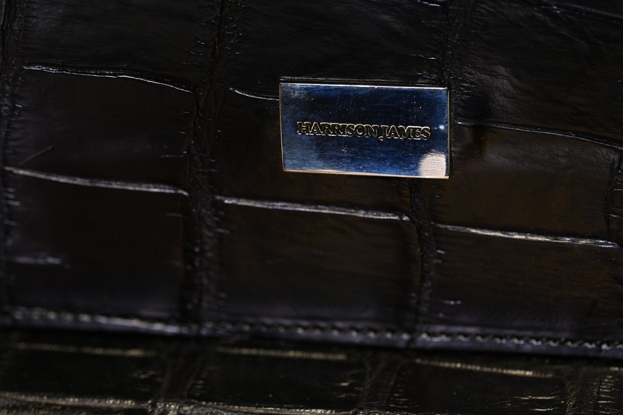 Limited Edition Harrison James Black Crocodile Sterling Silver Fountain Ball Pen Set