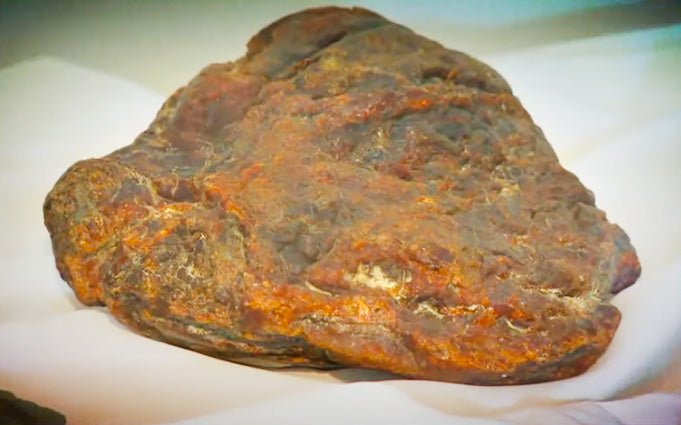 The Incredible Story of the Largest Piece of Amber in the World