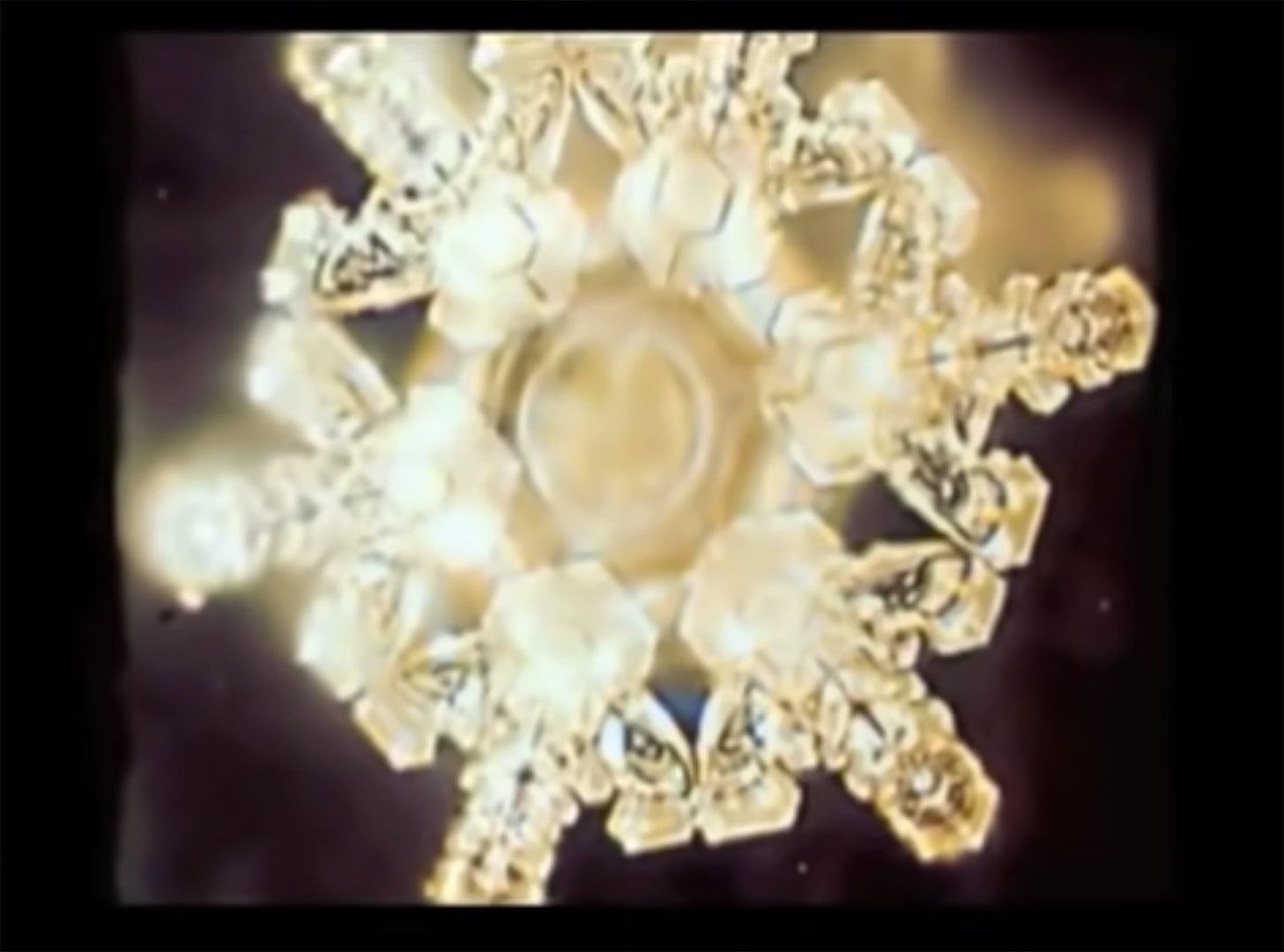 Dr. Masaru Emoto Highlights The Link Between Consciousness And Matter - DSF Antique Jewelry