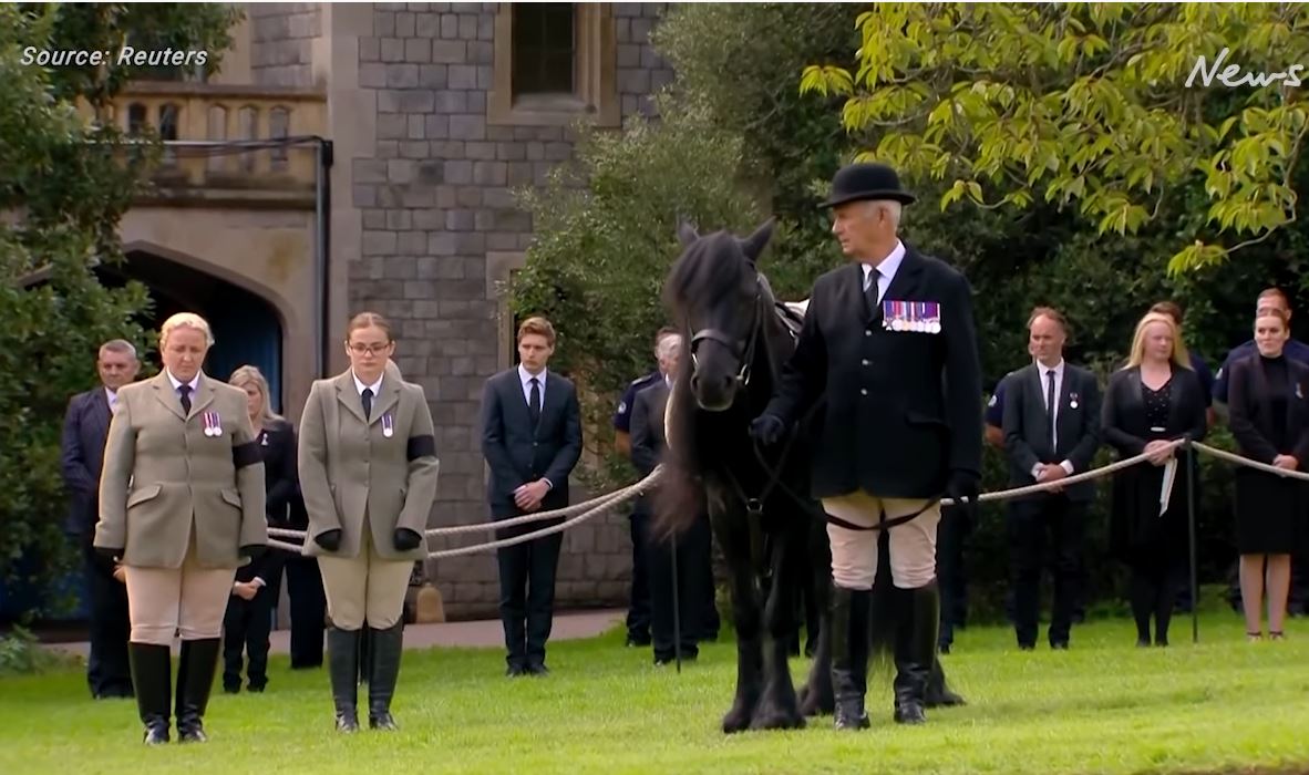 Queen Elizabeth’s Beloved Horse And Corgis Watch Her Last Journey - DSF Antique Jewelry