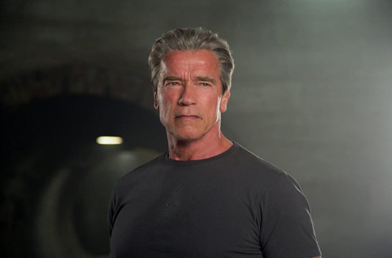Schwarzenegger Donates Tiny Homes To Homeless Vets. Other Follow Suit - DSF Antique Jewelry