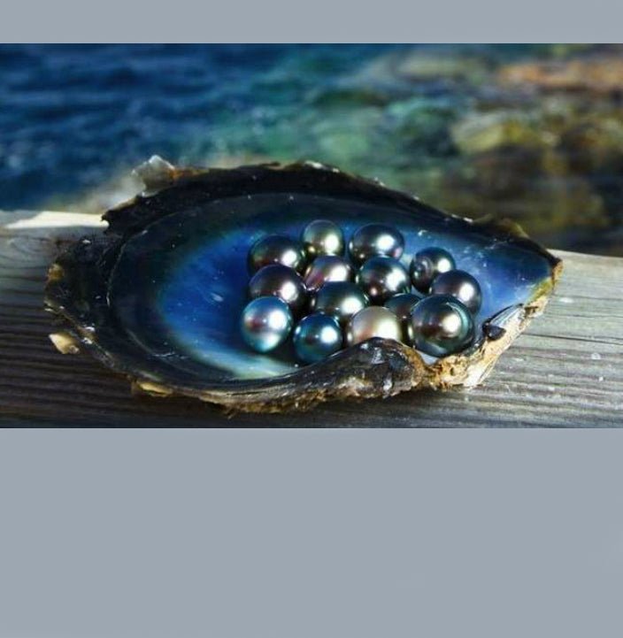 Searching for the Famous Black Pearls of Polynesia - DSF Antique Jewelry