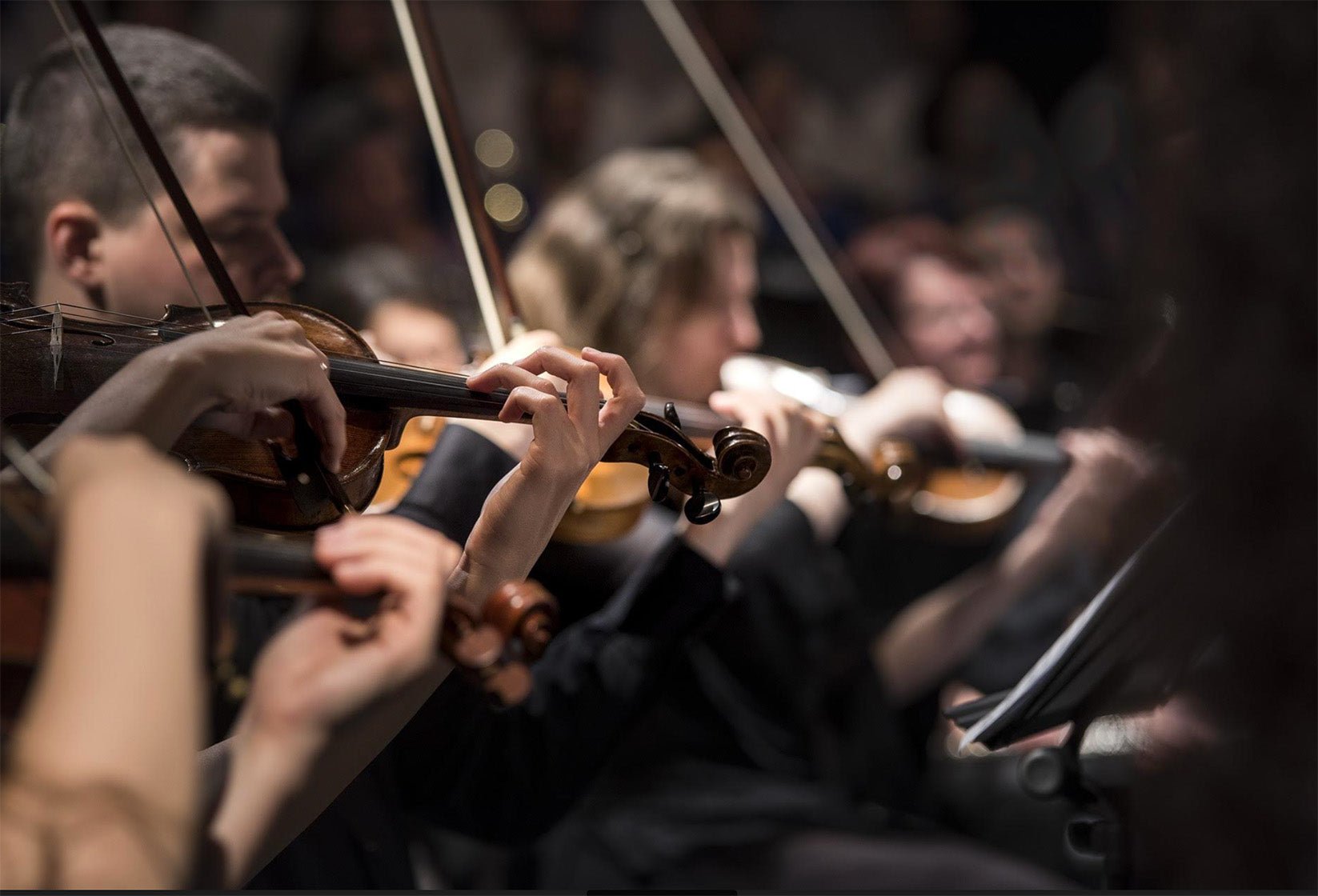 The Power Of Classical Music: It Brings Enormous Benefits - DSF Antique Jewelry