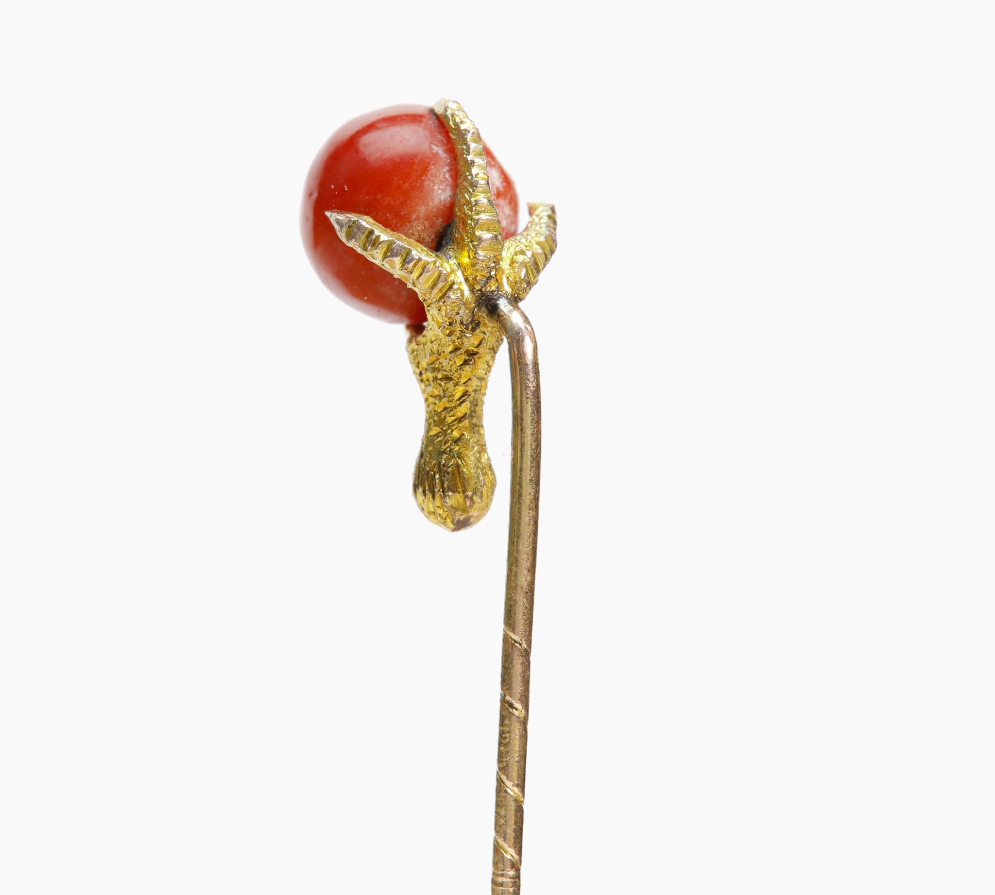 Antique Gold Coral Claw Stick Pin