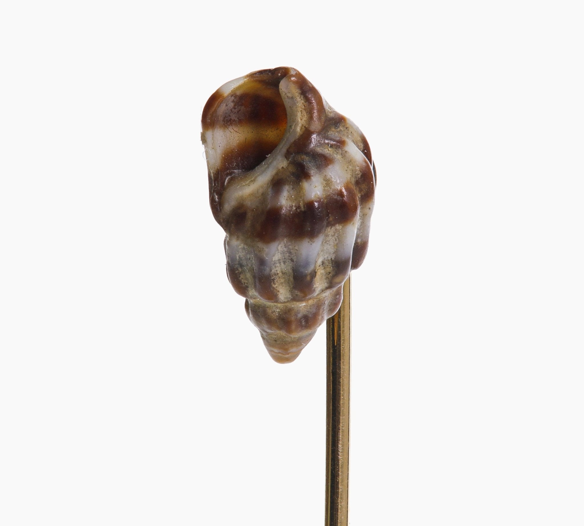 Antique Gold Shell Stick Pin