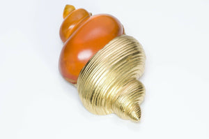 Christian DIOR Paris Lucite Shell Brooch