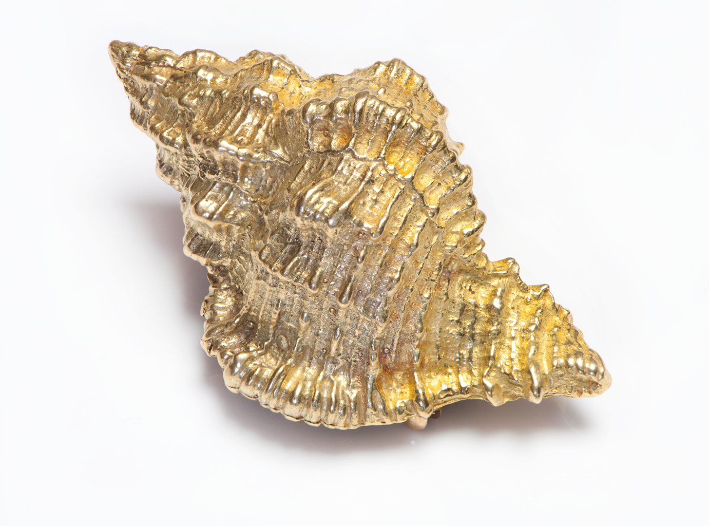Tiffany & Co. 18K Yellow Gold Conch Shell Brooch